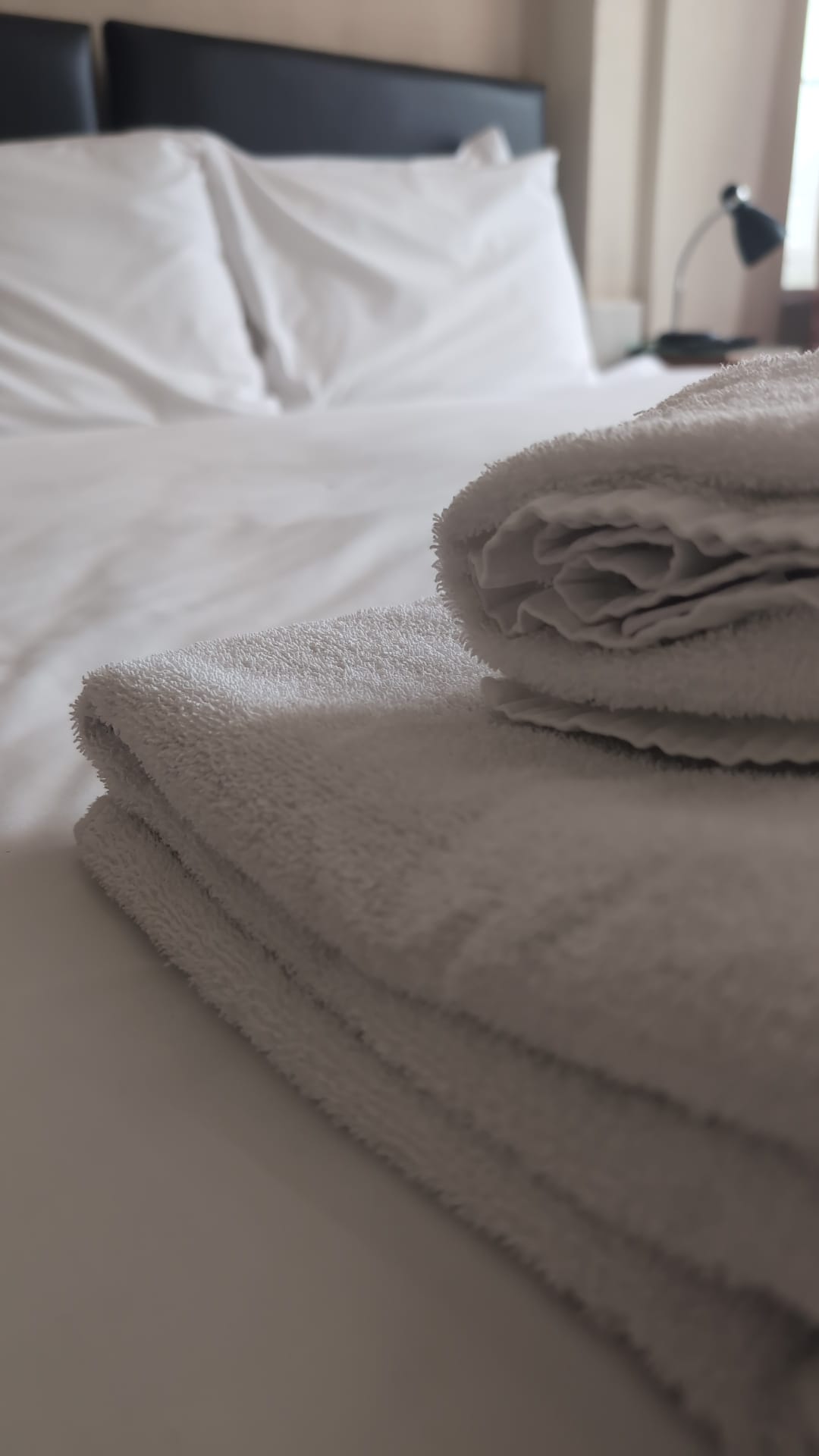 Twin room — two single beds, garden view